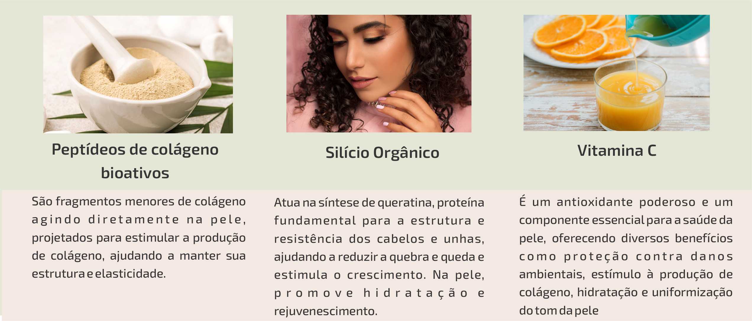Ingredientes do Shot da Beleza EcoVita 1